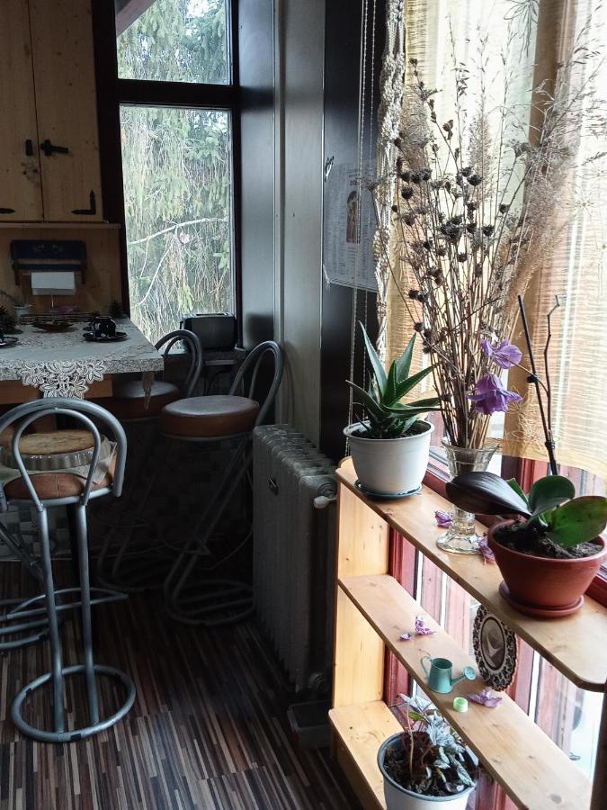 Residence Goelsch 161 Sanpetru Luaran gambar